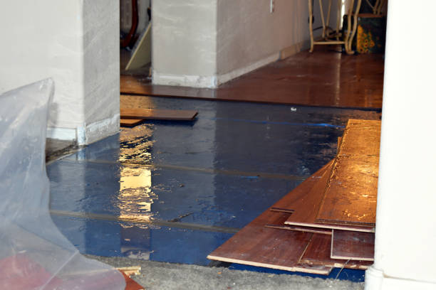 Professional Basement Flood Cleanup technician working in Riverside, NJ